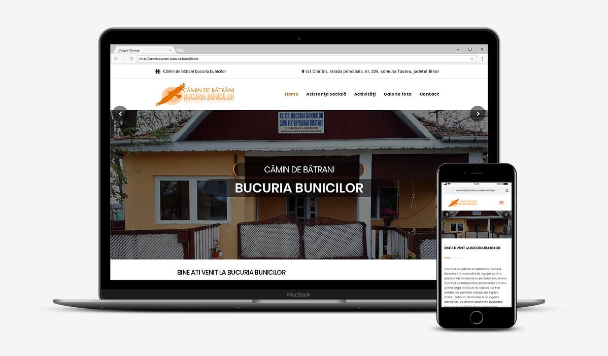 Realizare site camin batrani