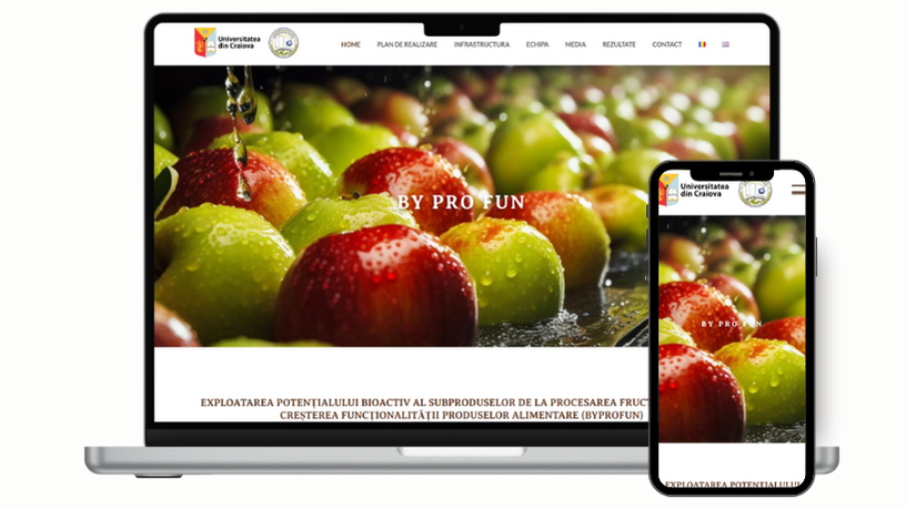 Creare website de prezentare proiect.